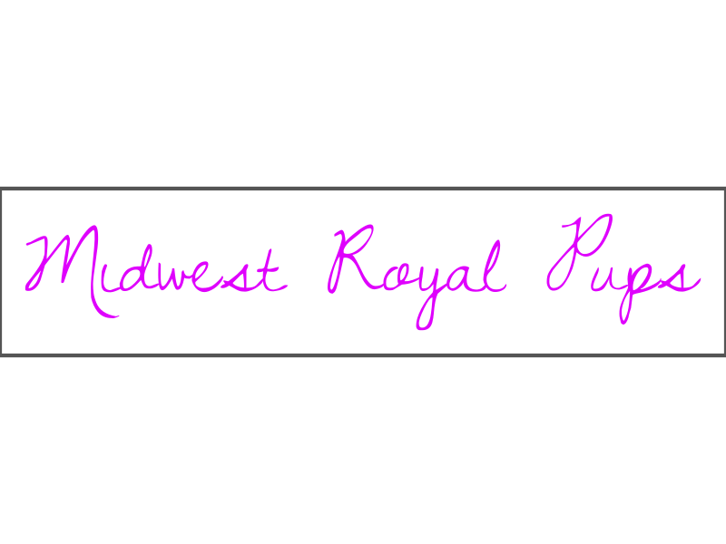 Custom Neon Sign - Order #1496