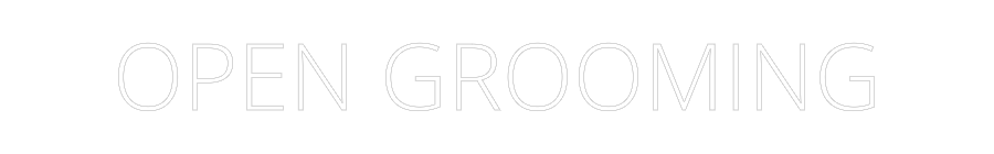 Custom Neon: OPEN GROOMING