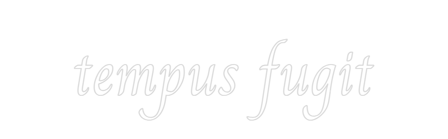 Custom Neon:
tempus fugit