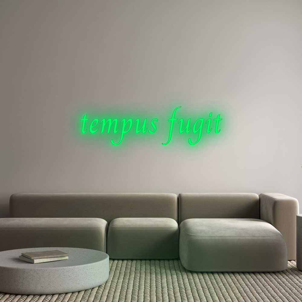 Custom Neon:
tempus fugit
