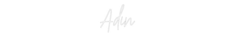 Custom Neon: Adin