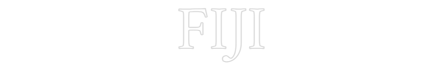 Custom Neon Text - FIJI