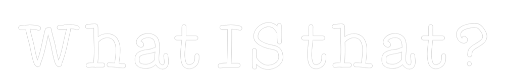 Custom Neon Text - What IS that?