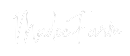 Custom Neon Text -  Madoc Farm