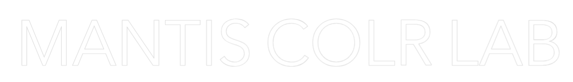 Custom Neon Text - MANTIS COLR LAB