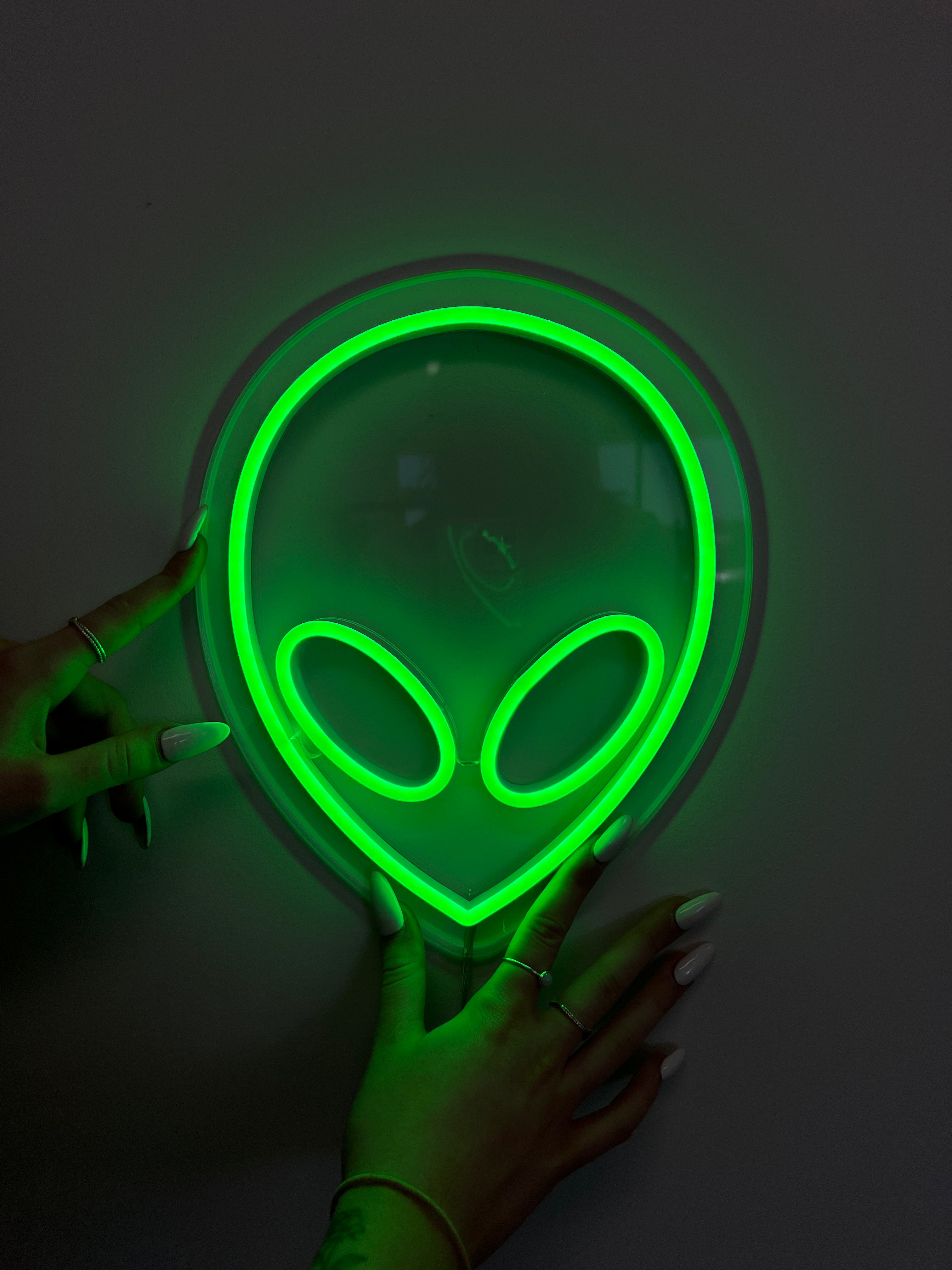 Mini Alien Head LED neon sign!