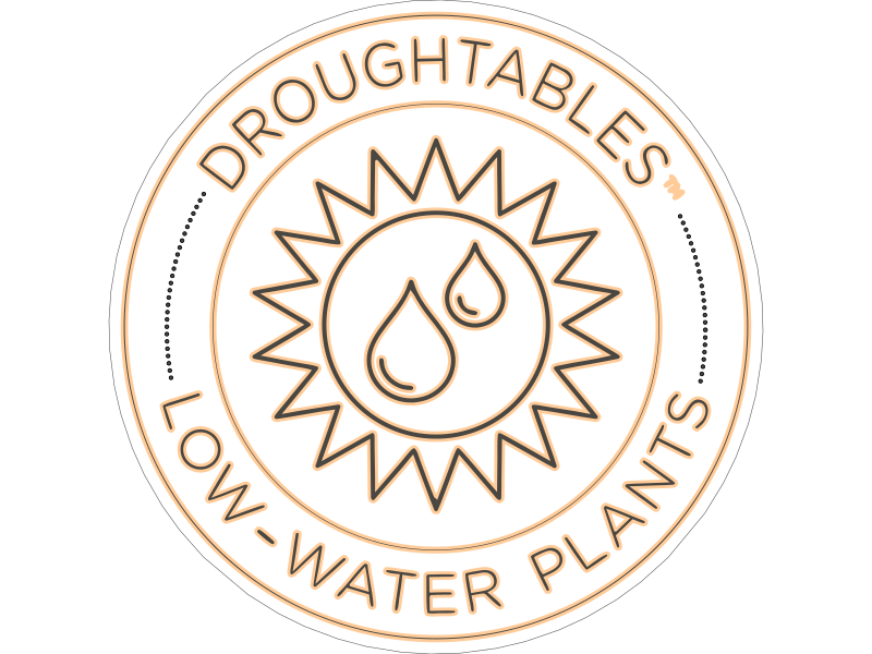 Custom Neon Sign - Order #1159