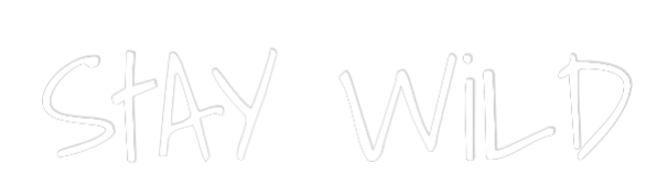 Custom Neon Text - StAY WiLD