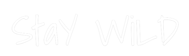 Custom Neon Text - StaY WiLD