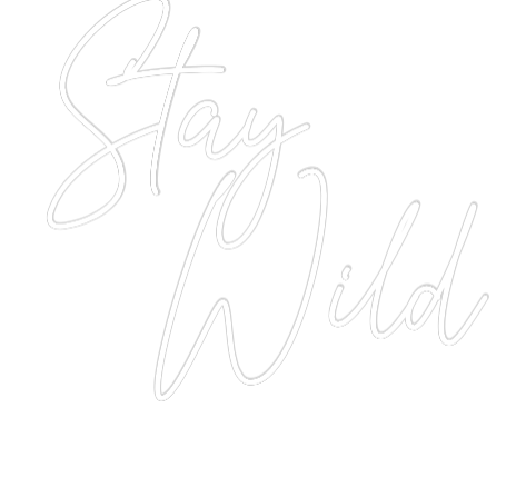 Custom Neon Text - Stay
  Wild
