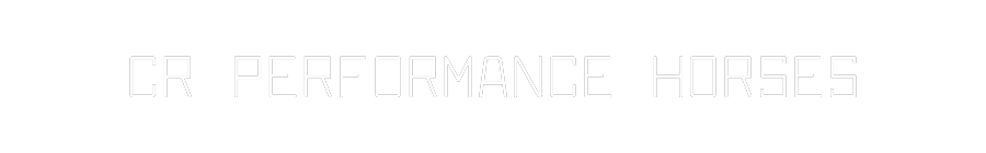 Custom Neon Text - CR PERFORMANC...