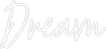Custom Neon Text - Dream