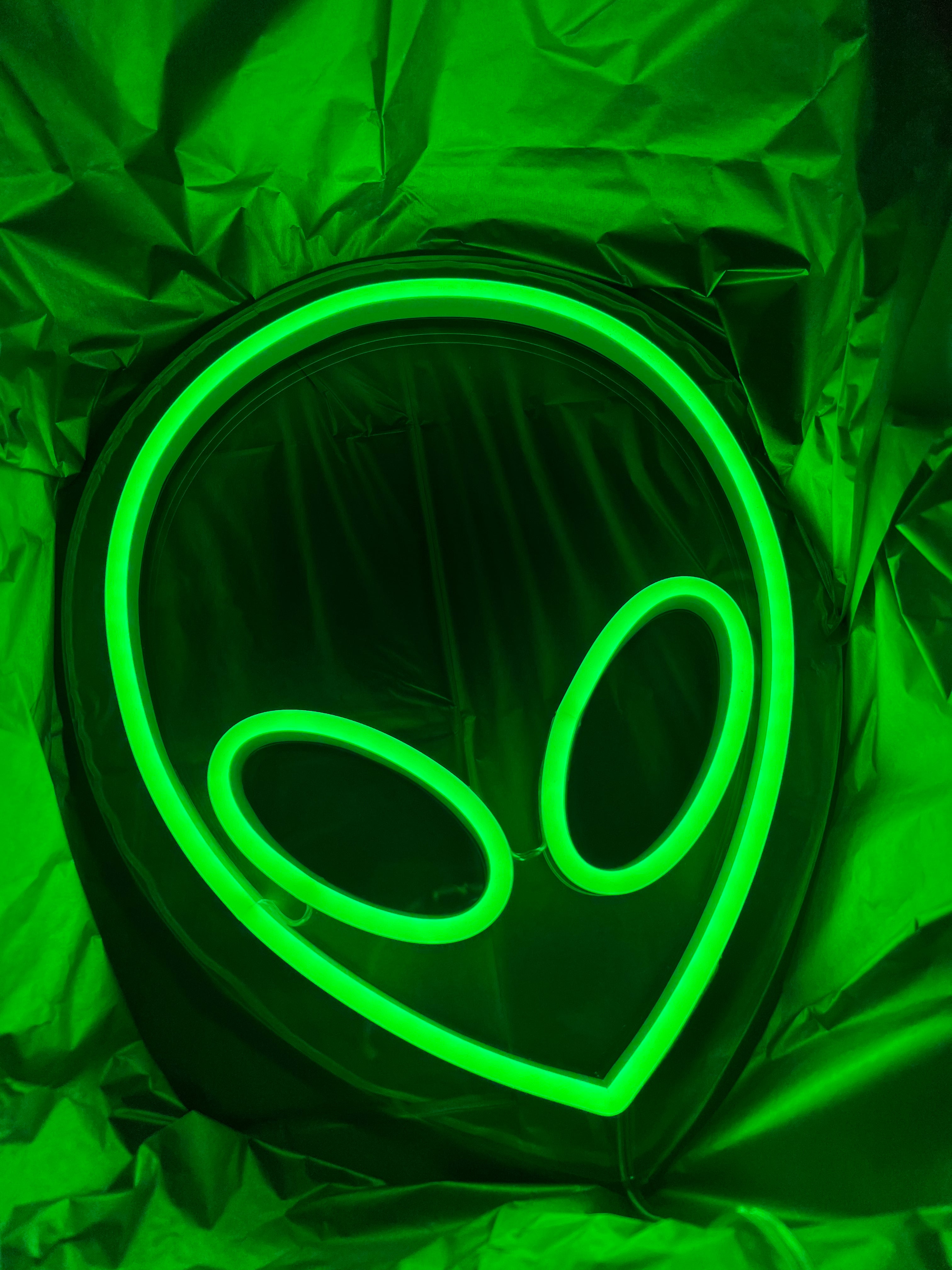 Mini Alien Head LED neon sign!